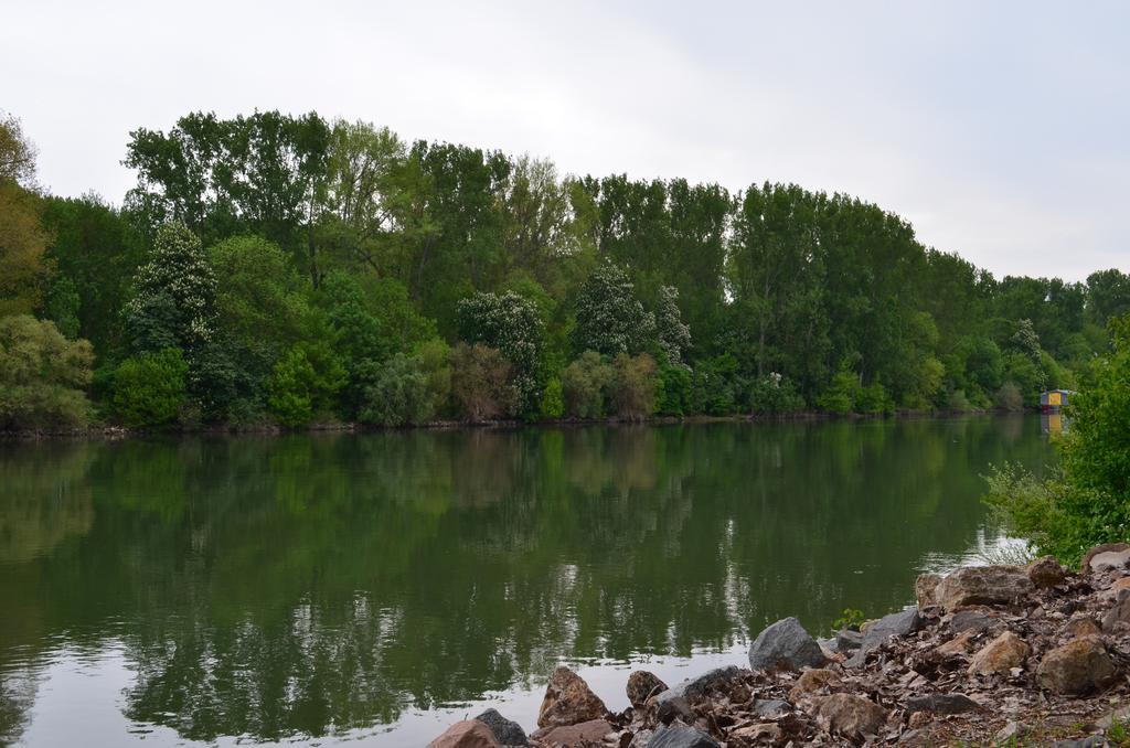 Zwei Raben Pension Mainz Buitenkant foto