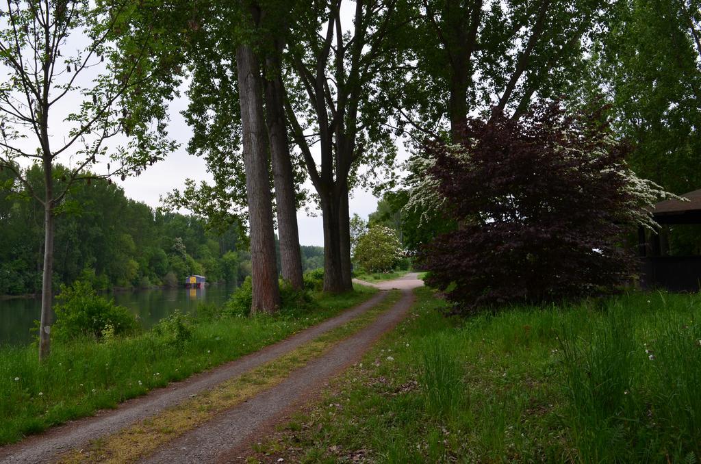 Zwei Raben Pension Mainz Buitenkant foto