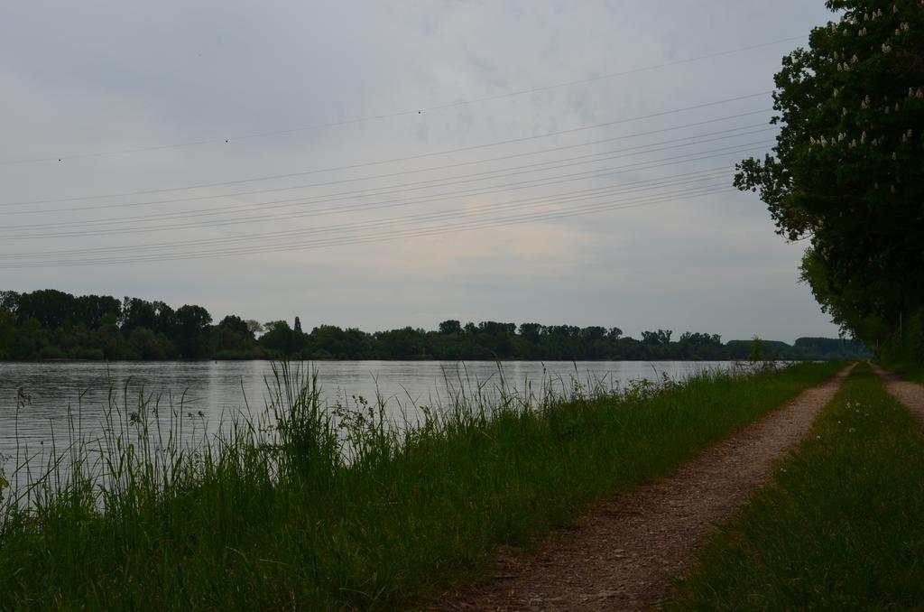 Zwei Raben Pension Mainz Buitenkant foto