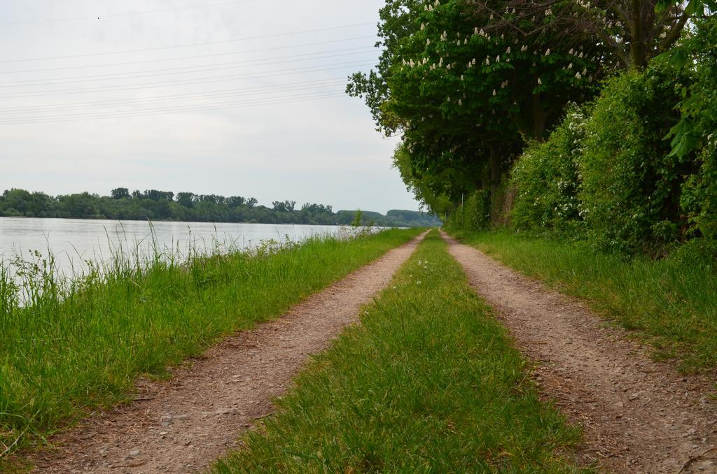 Zwei Raben Pension Mainz Buitenkant foto