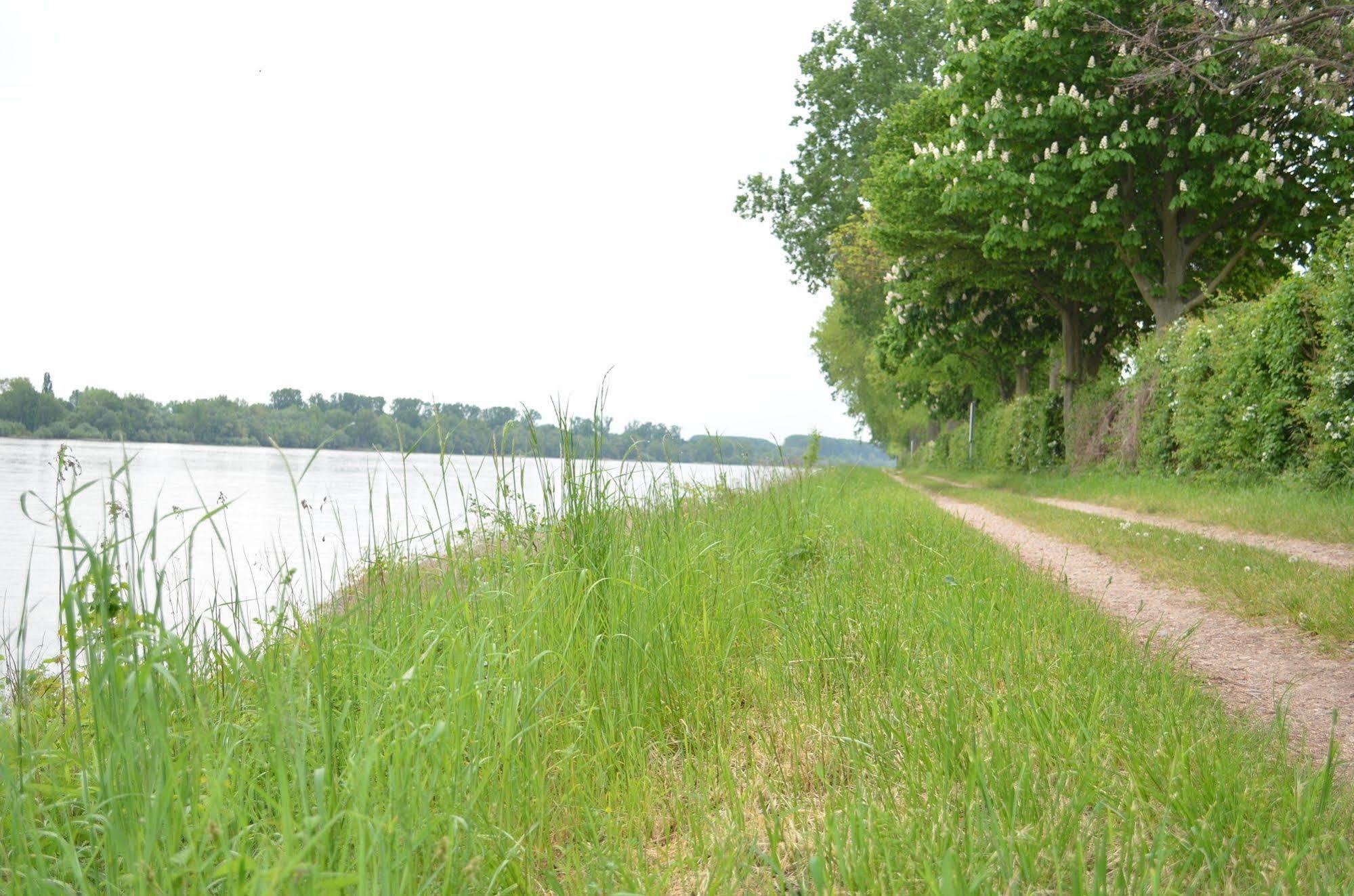Zwei Raben Pension Mainz Buitenkant foto