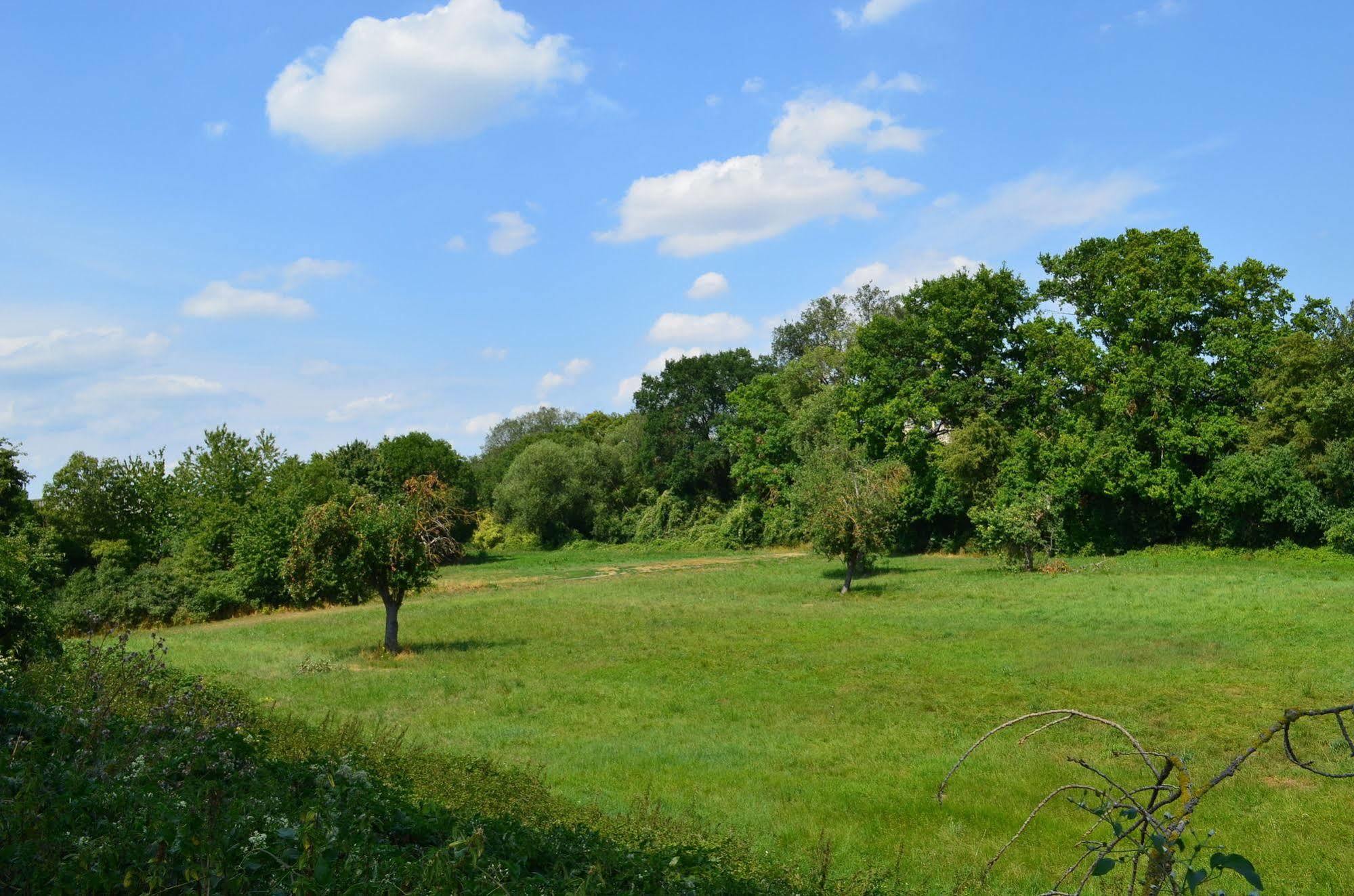 Zwei Raben Pension Mainz Buitenkant foto